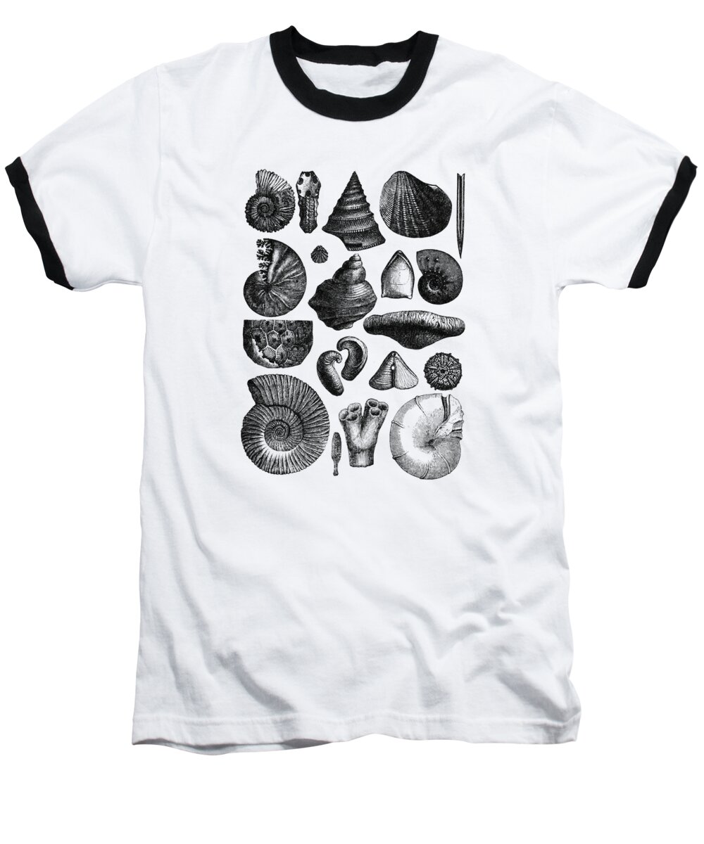 Sea Shell Baseball T-Shirt featuring the digital art Collection Of Seashells by Madame Memento