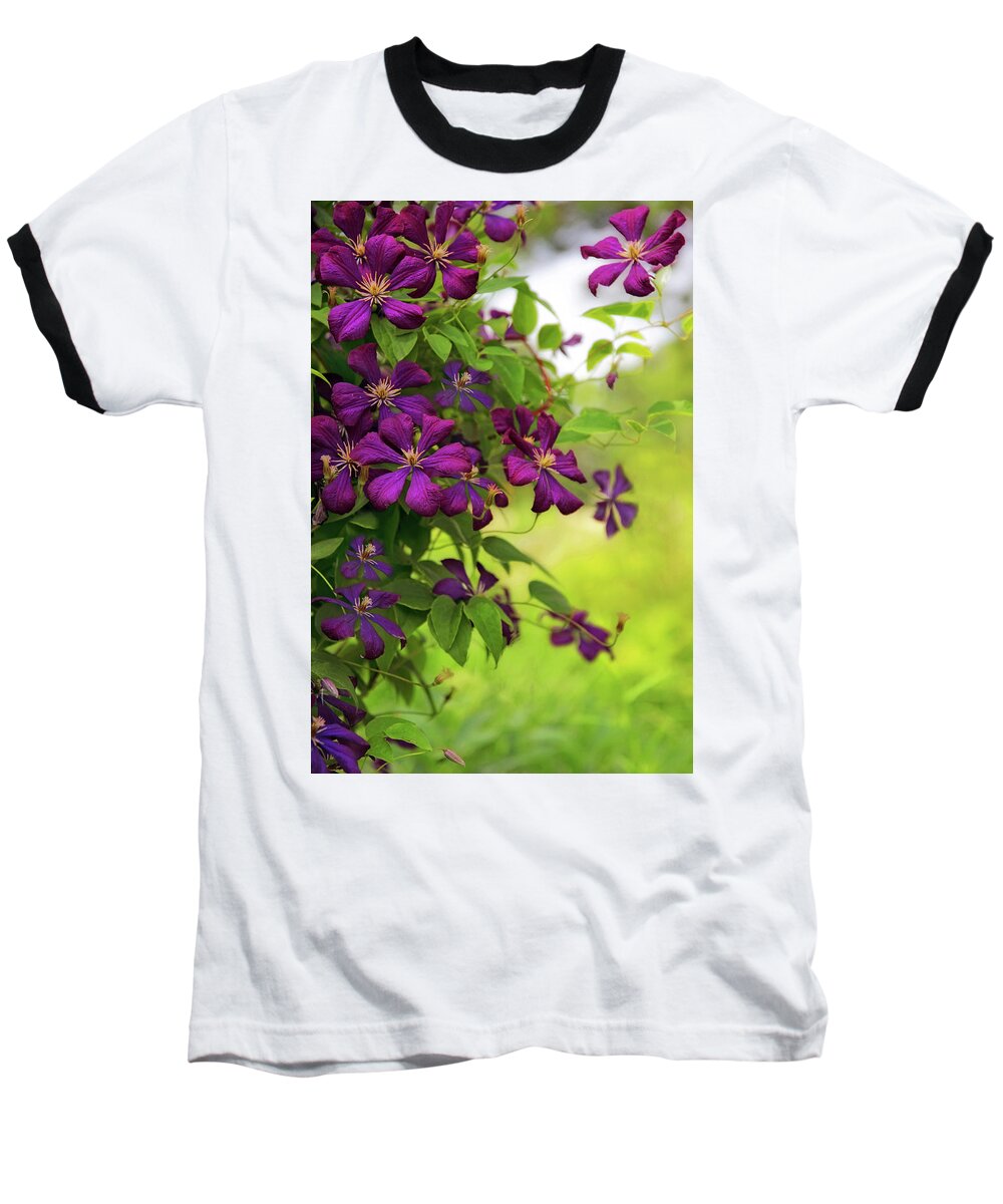 Clematis Baseball T-Shirt featuring the photograph Copious Clematis by Jessica Jenney