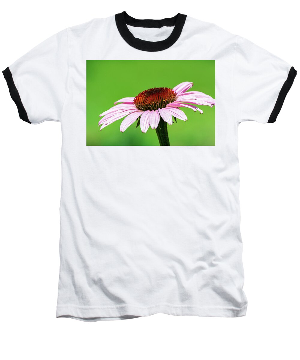 Flower Baseball T-Shirt featuring the photograph Crown of Grace by Linda Segerson
