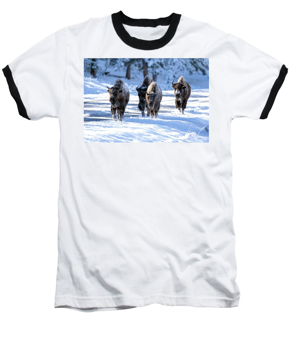 Bison Baseball T-Shirt featuring the photograph Here We Come... by Shari Sommerfeld