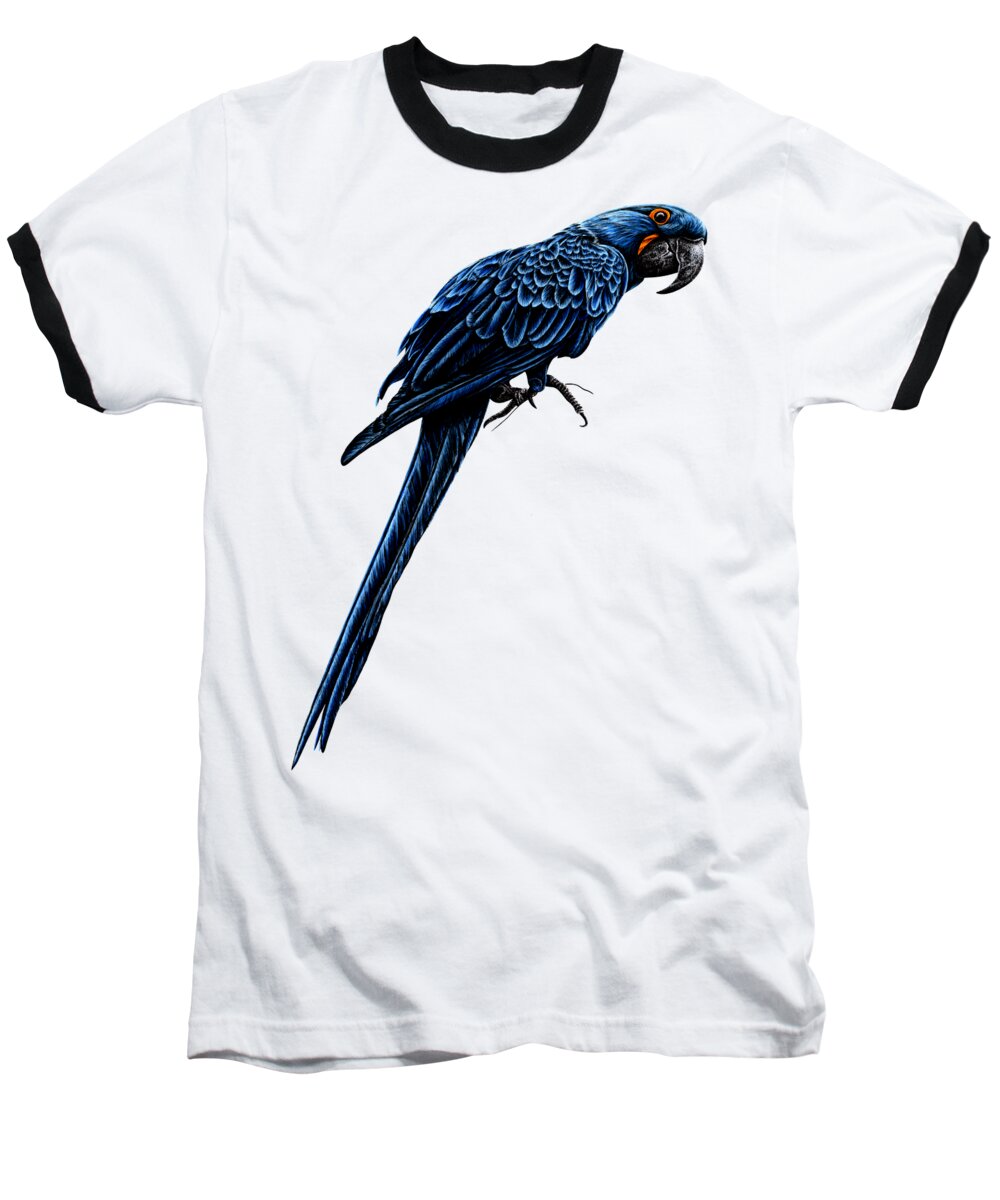 Macaw Baseball T-Shirt featuring the drawing Hyacinth macaw by Loren Dowding
