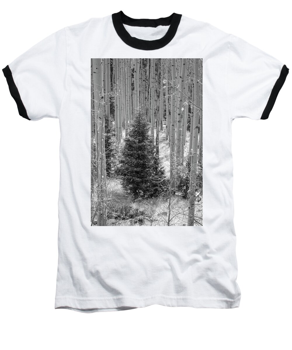 Trees Baseball T-Shirt featuring the photograph Not Quite Winter by Mary Lee Dereske