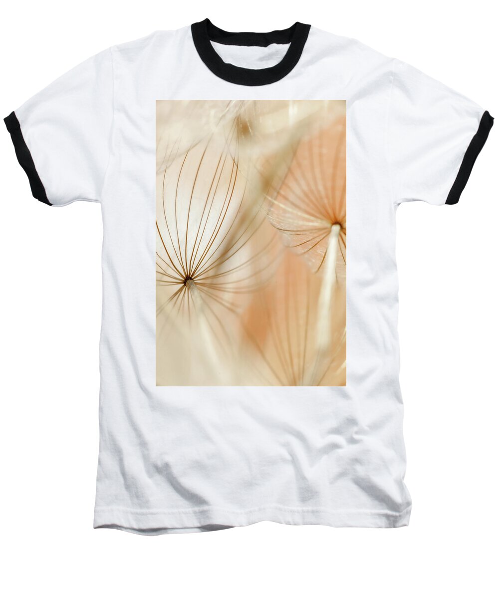 Dandelions Baseball T-Shirt featuring the photograph Orange Translucid by Iris Greenwell