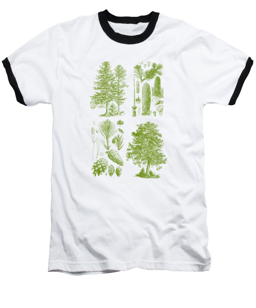 Pine Baseball T-Shirt featuring the digital art Pine Tree Chart In Green by Madame Memento