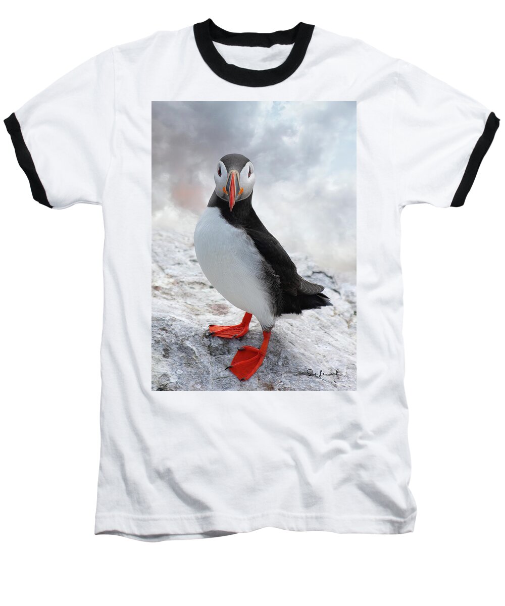 Bird Baseball T-Shirt featuring the photograph Puffin by Sue Leonard