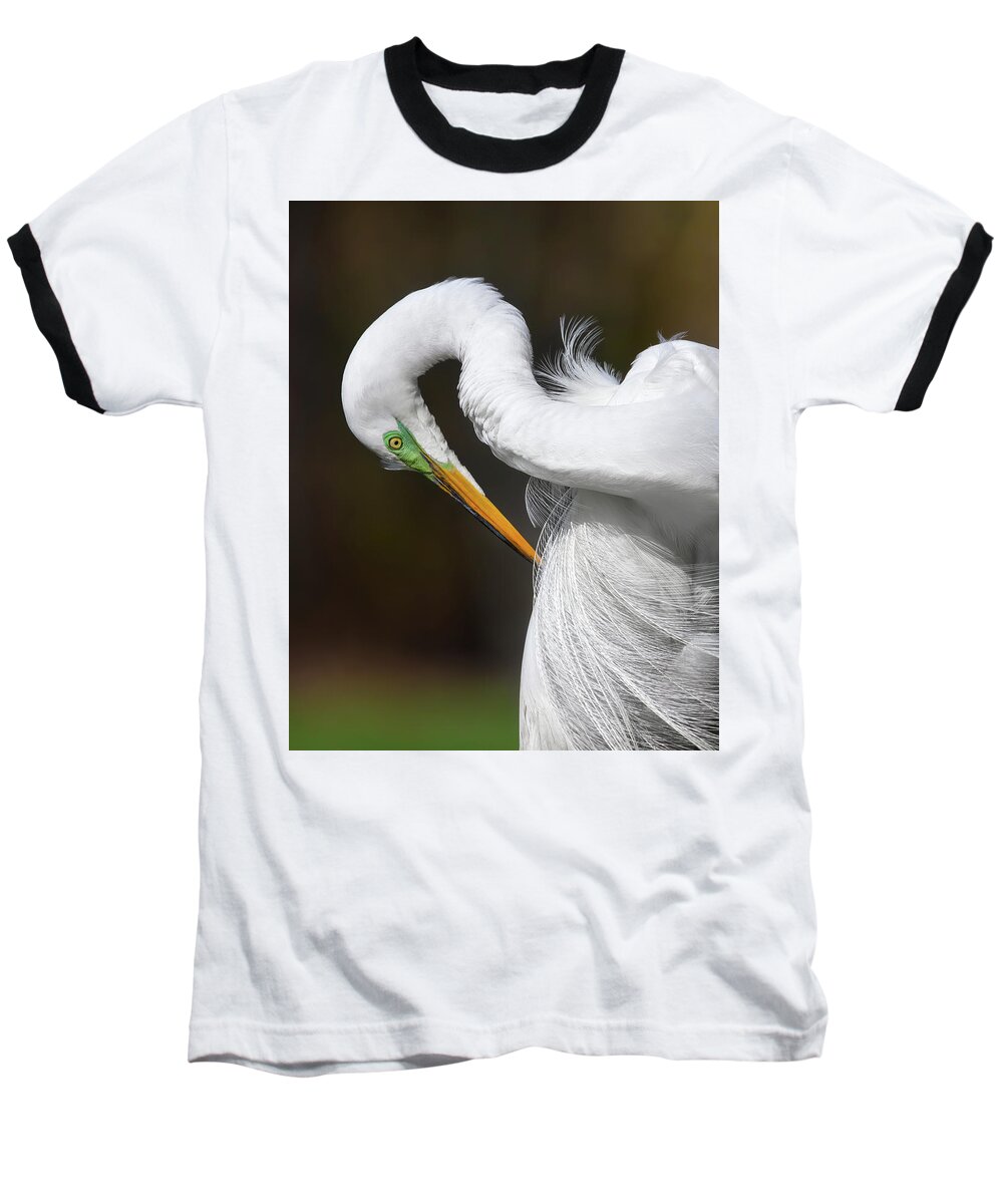 Wild Bird Baseball T-Shirt featuring the photograph Reverent Bow - Great Egret by Carl Amoth