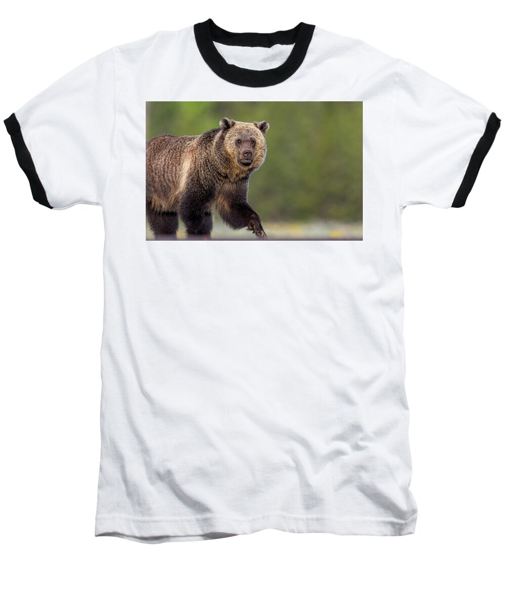  Baseball T-Shirt featuring the photograph Spring Strut by Kevin Dietrich