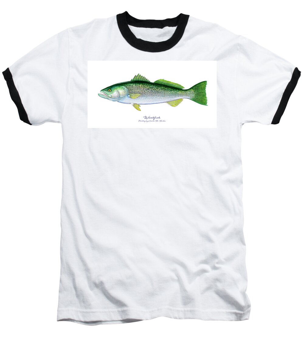 Charles Harden Baseball T-Shirt featuring the painting Weakfish by Charles Harden