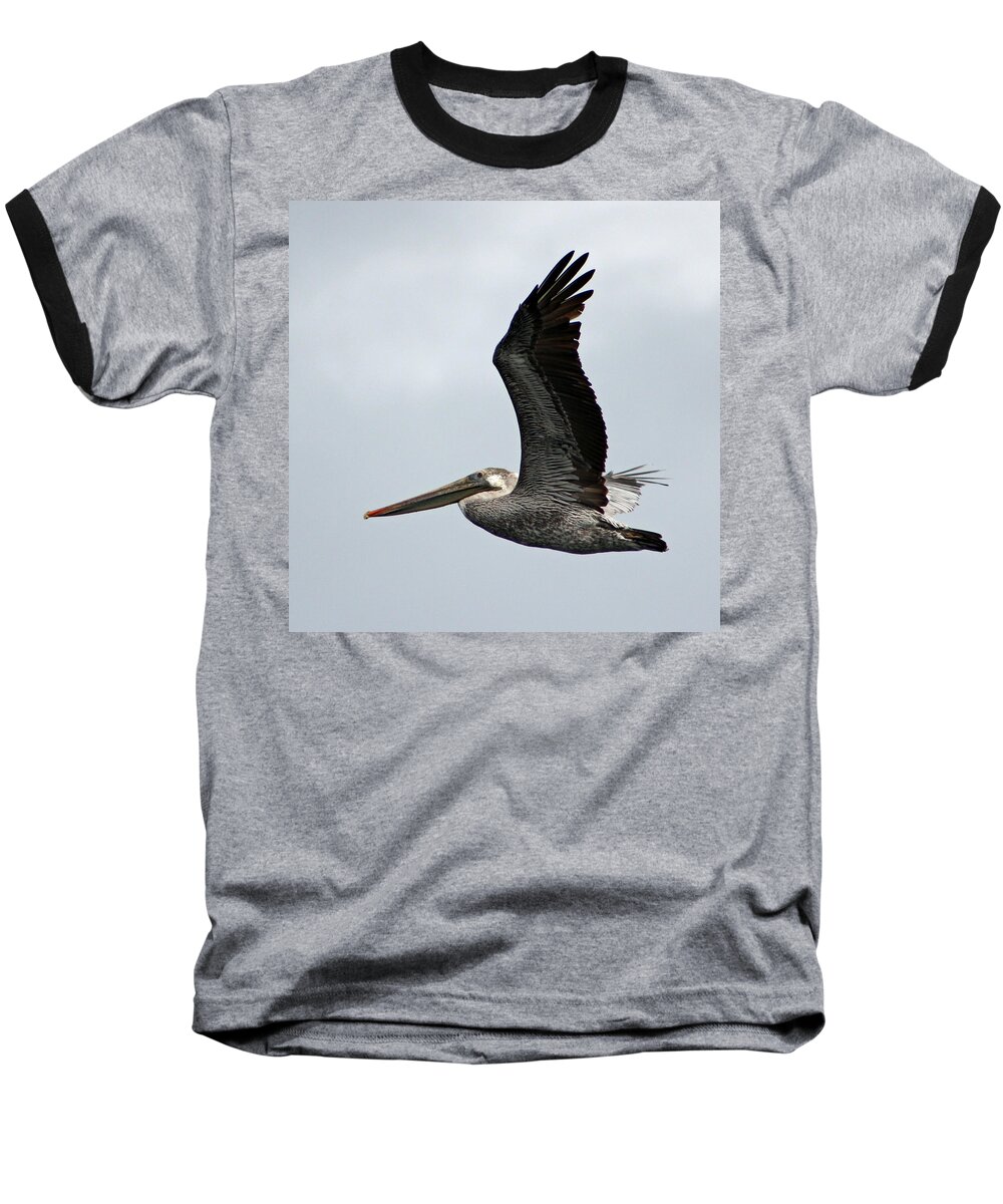 Bird Baseball T-Shirt featuring the photograph Brown Pelican in Flight by Deana Glenz