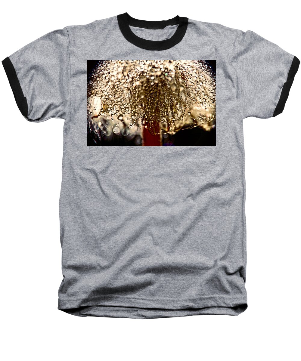 Dandelions Baseball T-Shirt featuring the photograph Dandelion Dew in Bronze by Peggy Collins