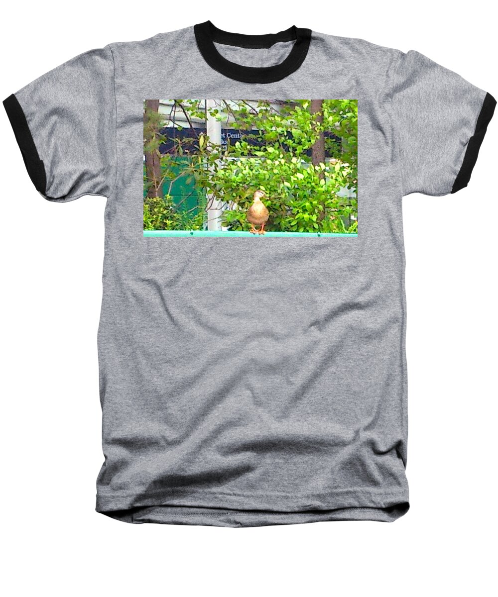 Bird Baseball T-Shirt featuring the photograph Look At Me by Chris W Photography AKA Christian Wilson