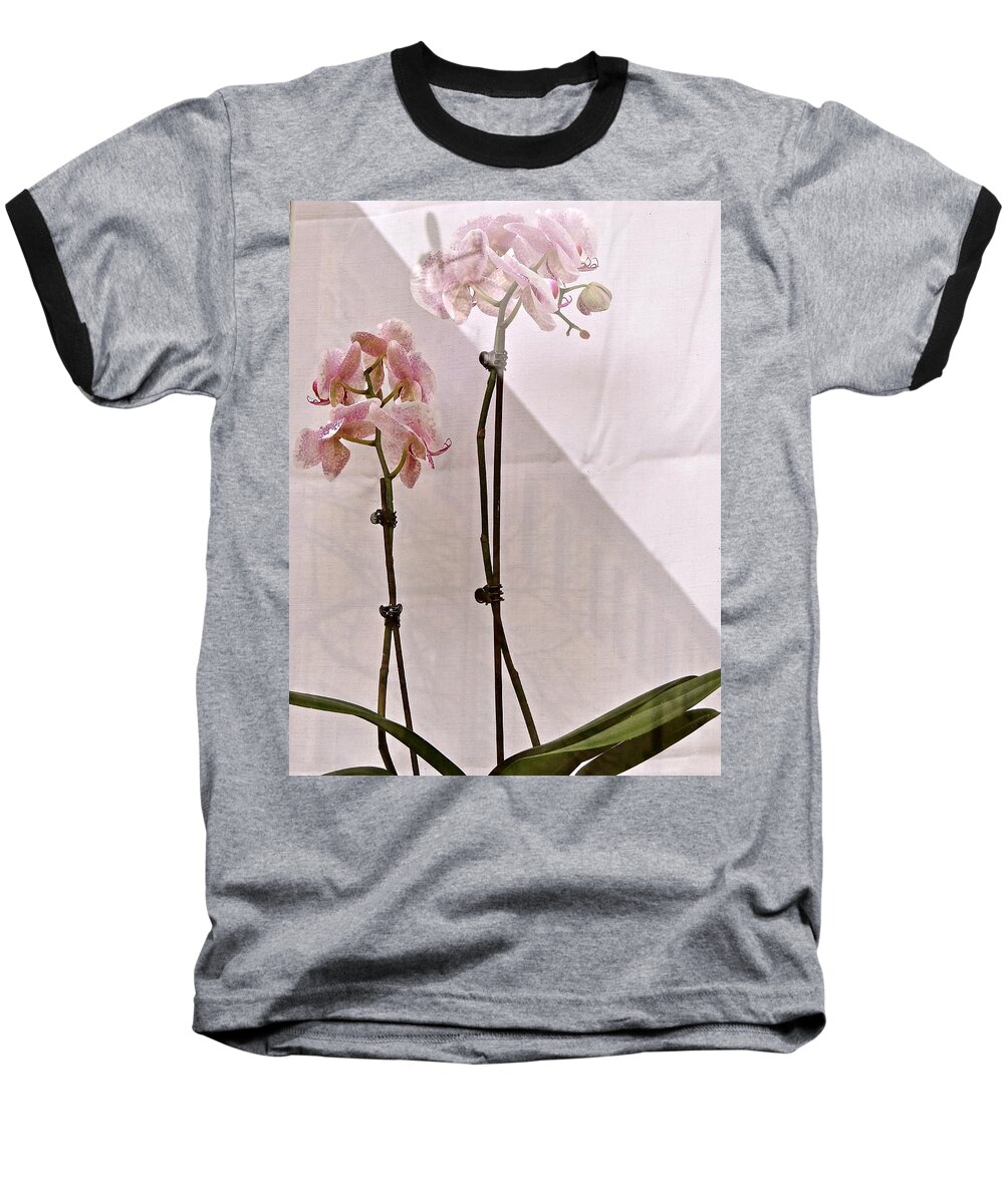 Orchids Baseball T-Shirt featuring the photograph Orchids in the Window by Ira Shander