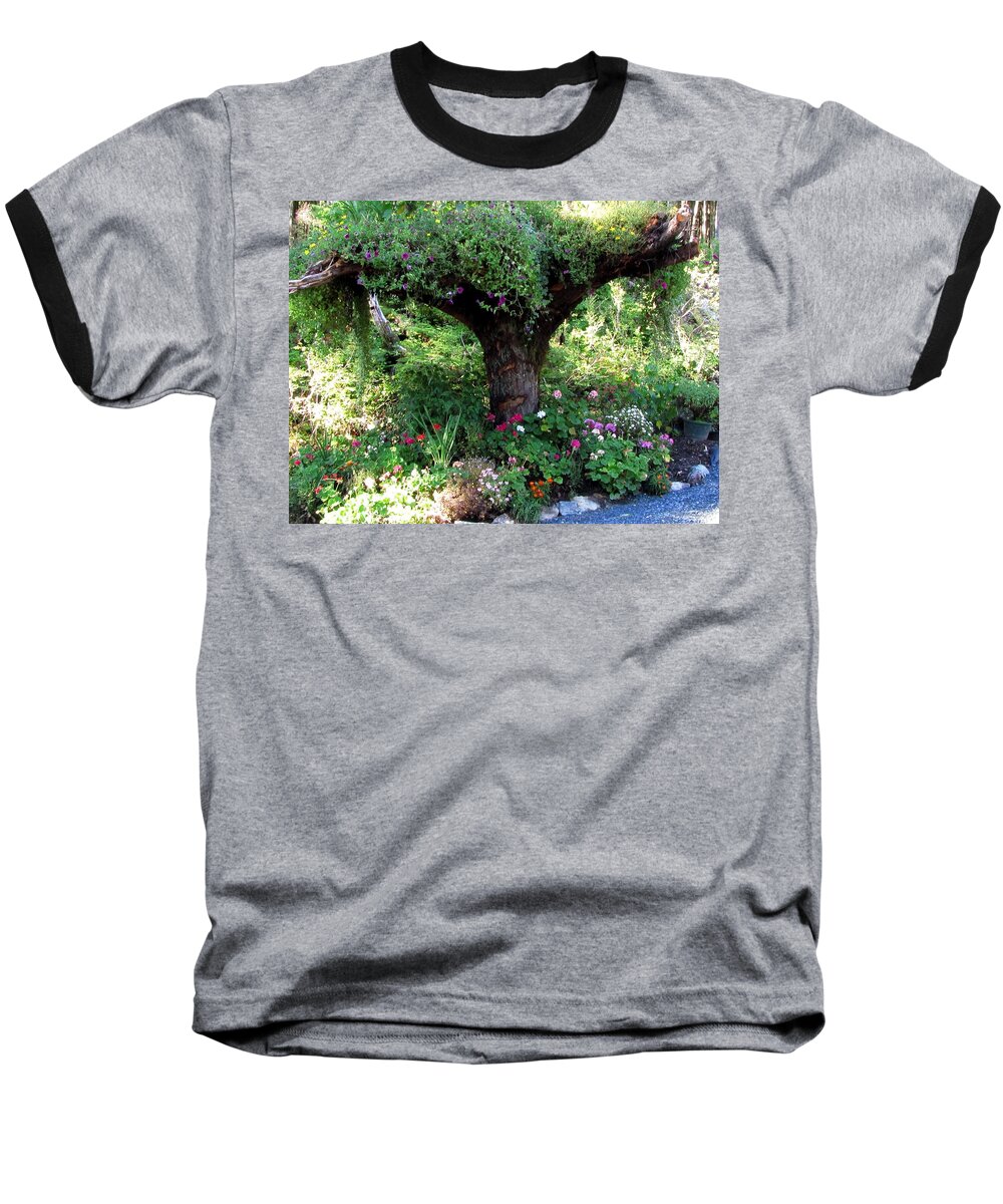 Juneau Baseball T-Shirt featuring the photograph Upside Down Tree by Jennifer Wheatley Wolf