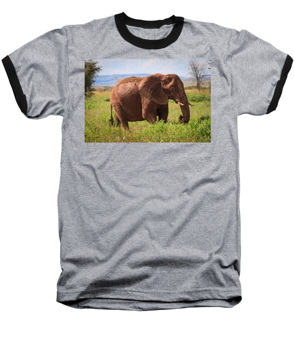 Namibia Baseball T-Shirt featuring the photograph African Desert Elephant #1 by Gregory Daley MPSA