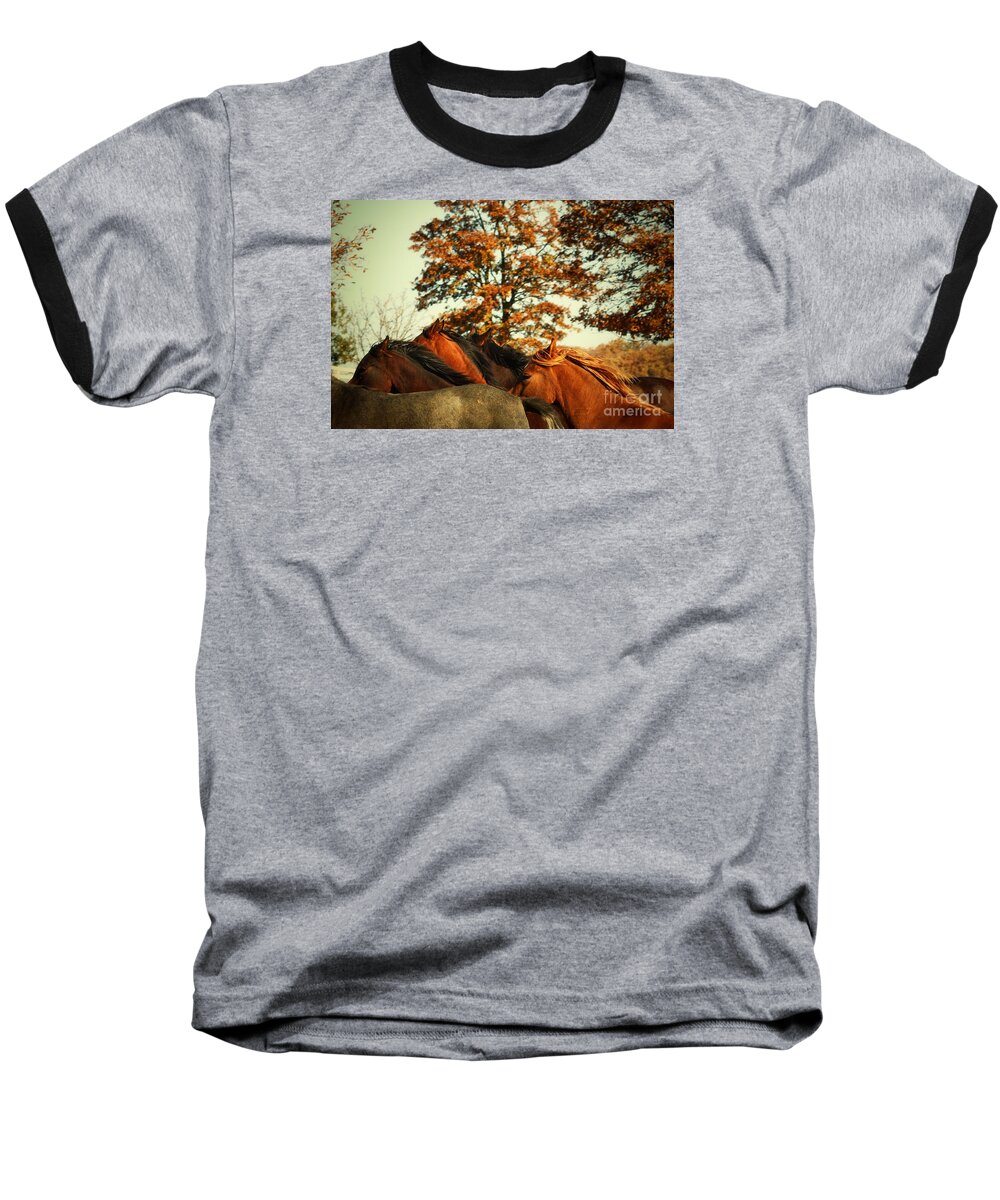 Horse Baseball T-Shirt featuring the photograph Autumn Wild Horses by Dimitar Hristov