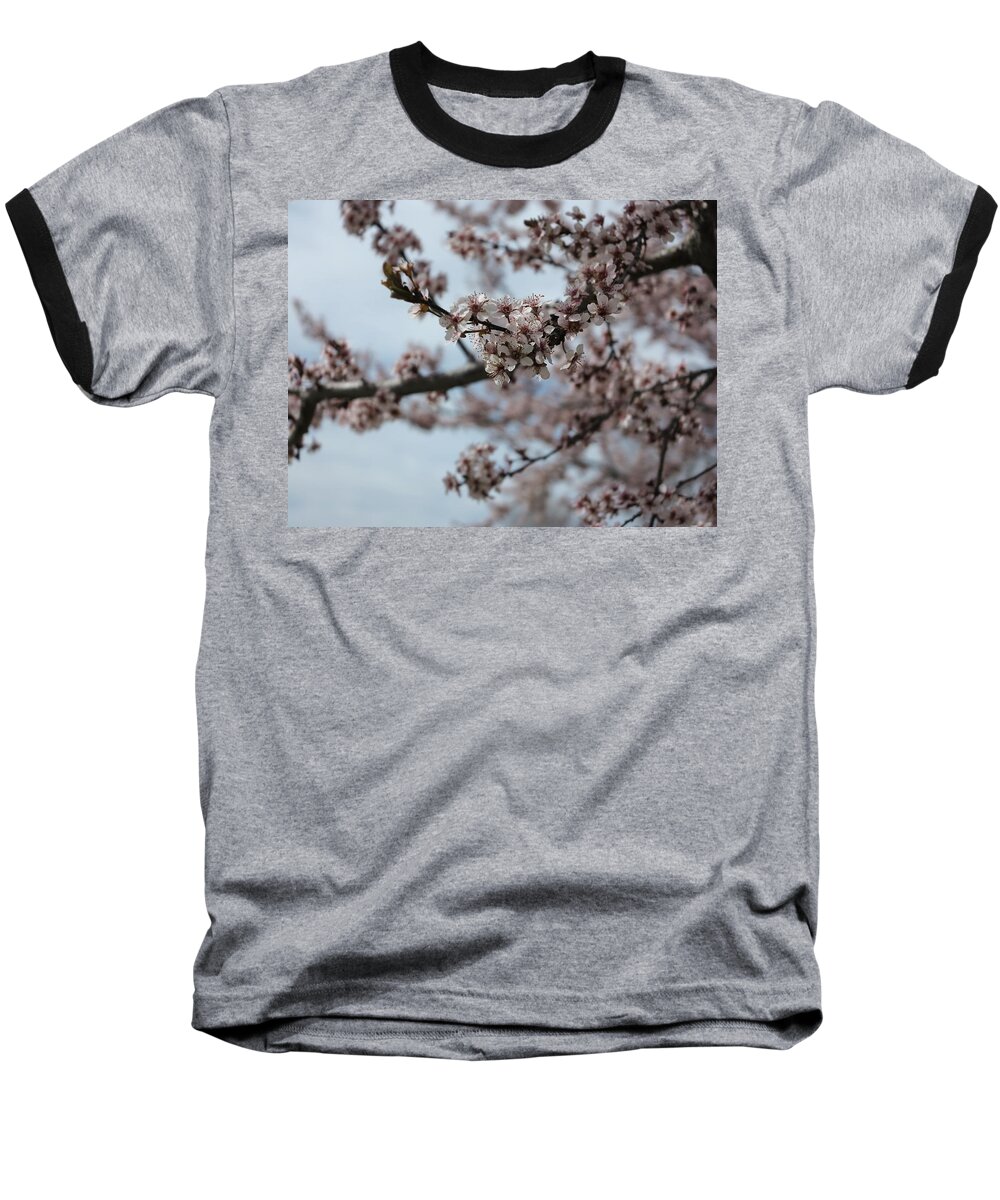 Flowers Baseball T-Shirt featuring the photograph Blossom #1 by Jessica Myscofski