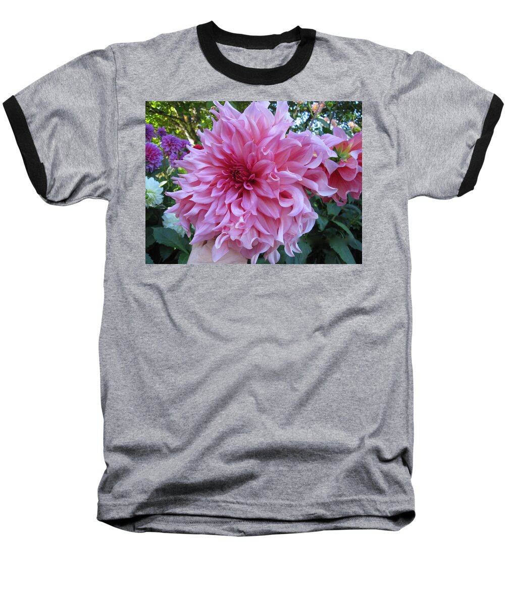 Flowers Baseball T-Shirt featuring the painting Dahlia Delight by Csilla Florida