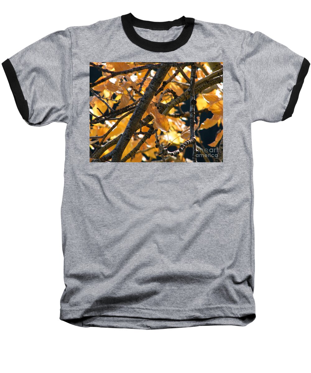 Fall Baseball T-Shirt featuring the photograph Fall Leaves #1 by Ann E Robson