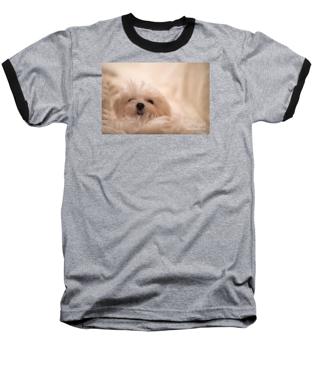 Dog Baseball T-Shirt featuring the photograph Fresh From A Long Winter's Nap by Lois Bryan