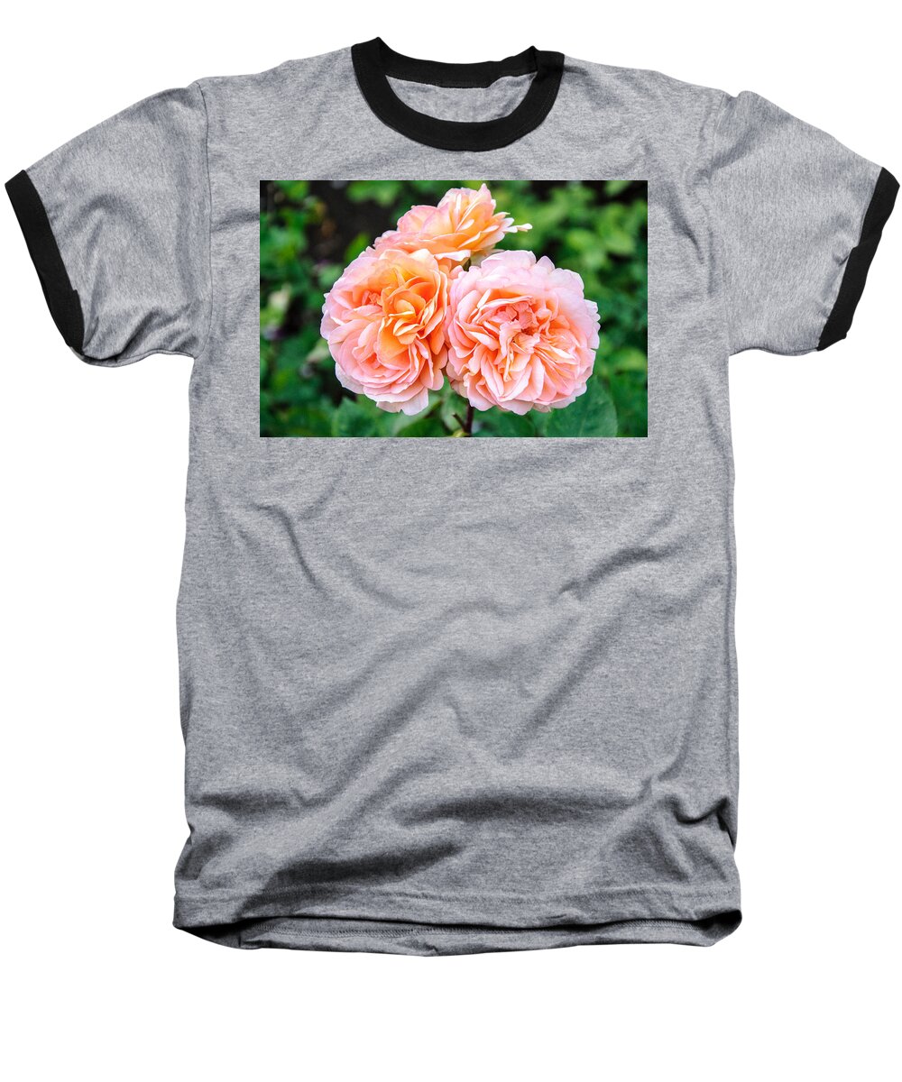 Rose Baseball T-Shirt featuring the photograph Happy #1 by Roxy Hurtubise