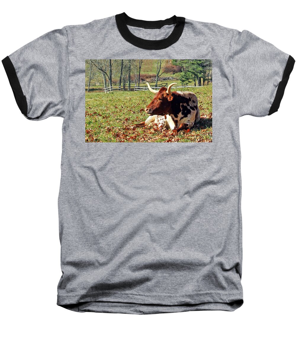 Lazy Morning Bull Baseball T-Shirt featuring the photograph Lazy Morning Bull #1 by Jennifer Robin