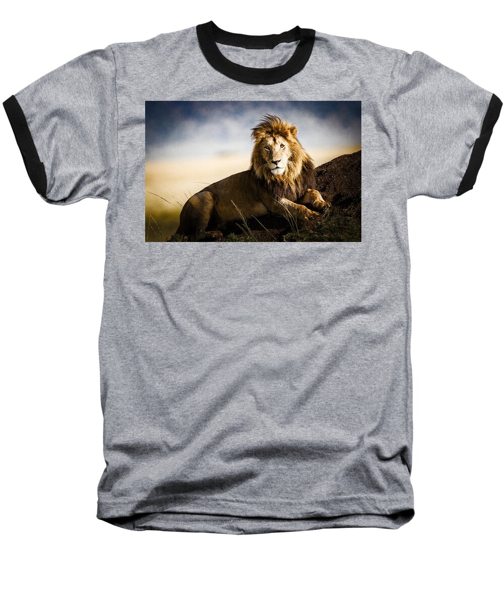 Africa Baseball T-Shirt featuring the photograph Majestic Male On Mound #1 by Mike Gaudaur