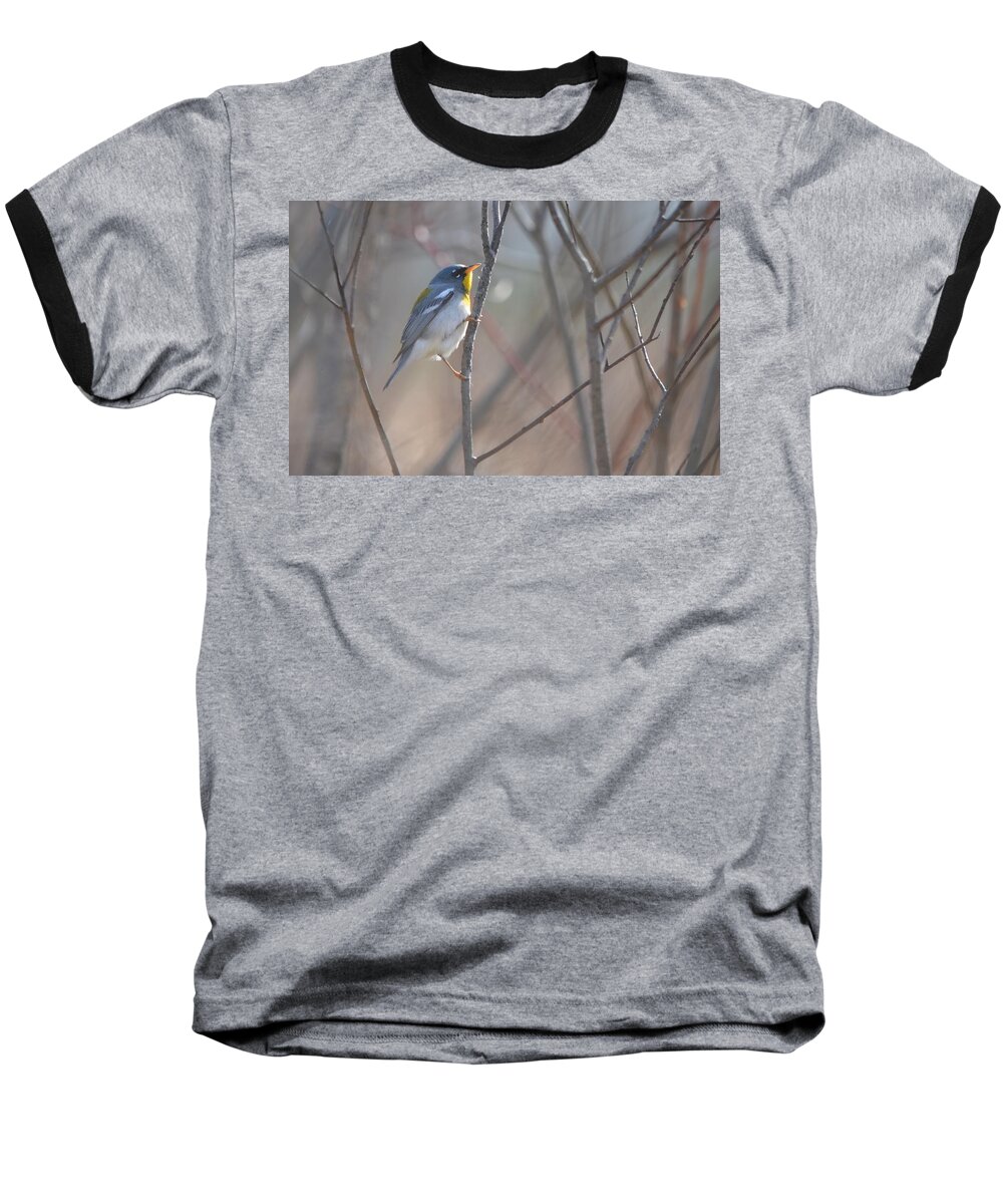 Northern Parula Baseball T-Shirt featuring the photograph Northern Parula #1 by James Petersen