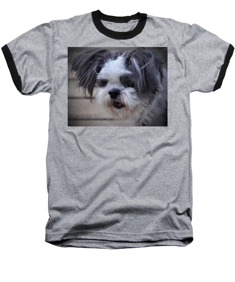 Poodle Puppy Baseball T-Shirt featuring the photograph Puppy by Savannah Gibbs