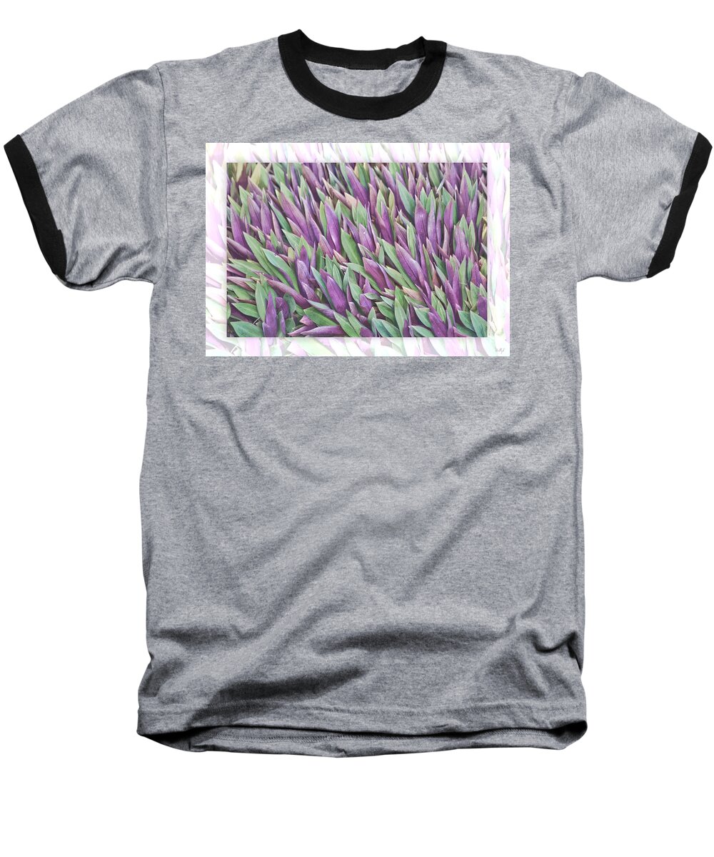 Floral Baseball T-Shirt featuring the photograph Purple and Green by Holly Kempe