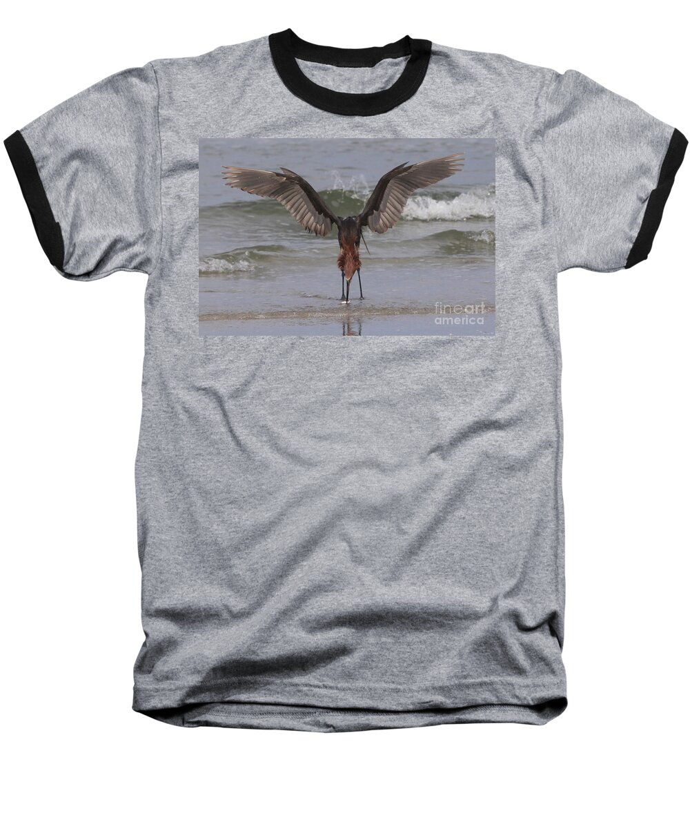 Reddish Egret Baseball T-Shirt featuring the photograph Reddish Egret Fishing #1 by Meg Rousher