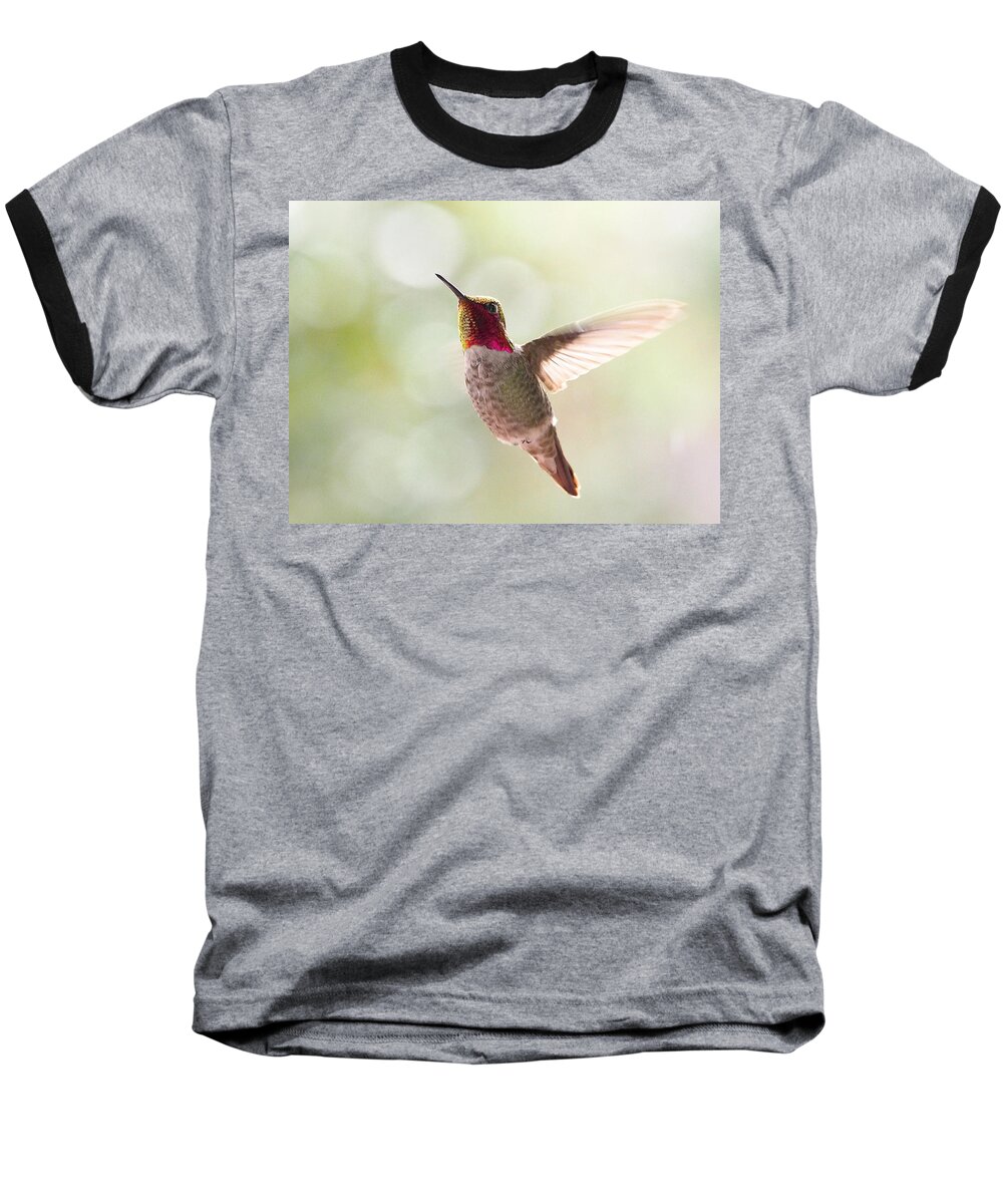 Birds Baseball T-Shirt featuring the photograph Ballet by Parrish Todd