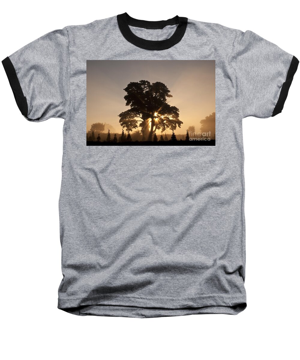 Beautiful Baseball T-Shirt featuring the photograph Silhouetted tree with sun rays #1 by Jim Corwin