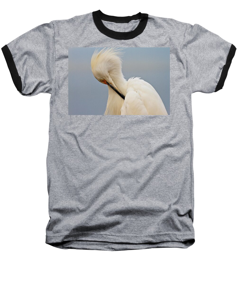 Snowy Egret Baseball T-Shirt featuring the photograph Snowy Egret #1 by Ben Graham