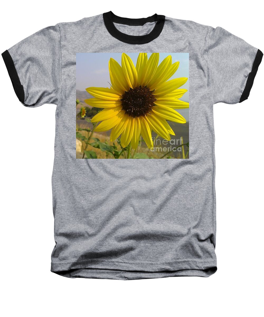 Art Baseball T-Shirt featuring the photograph Sunflowers by Chris Tarpening