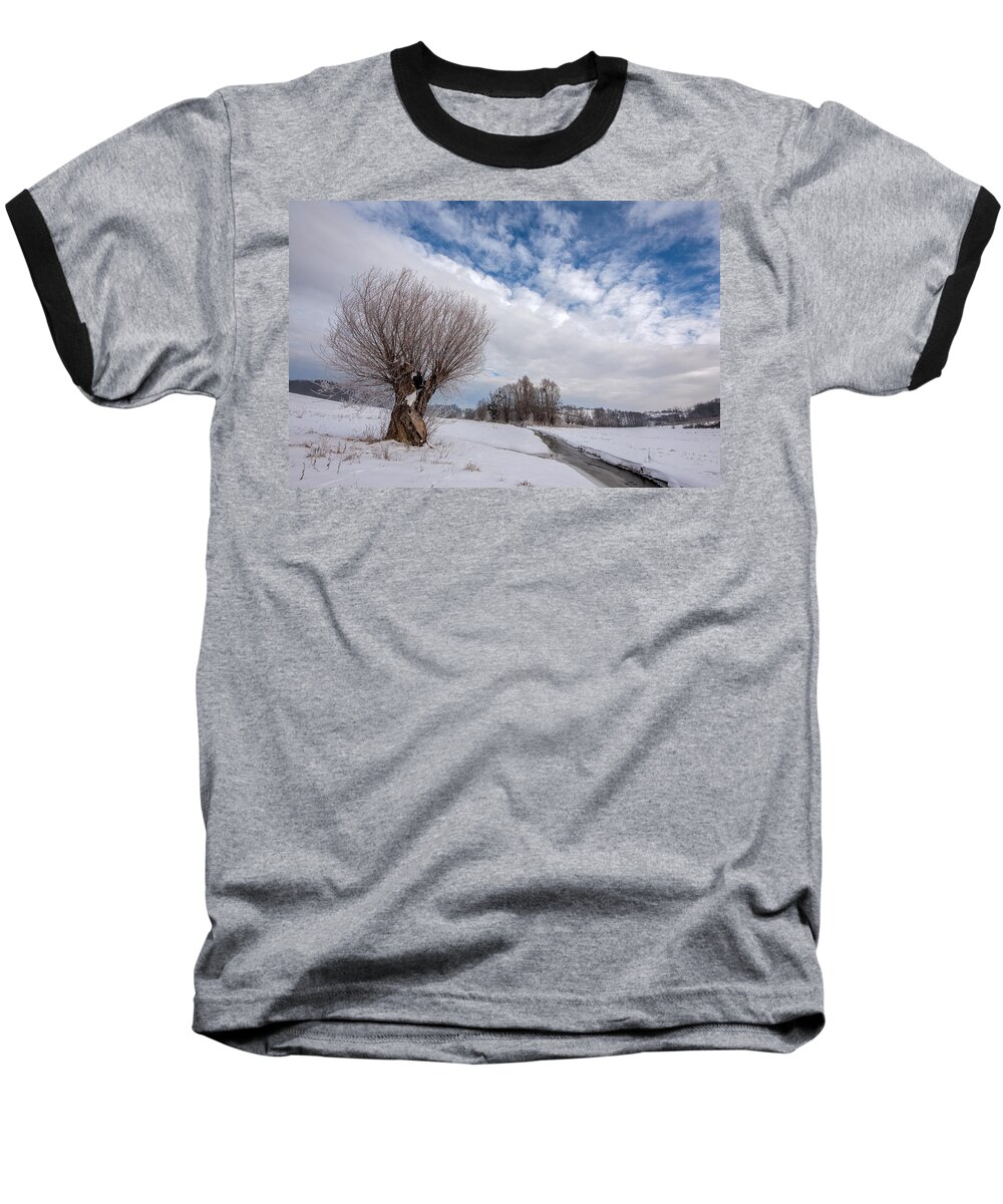 Landscape Baseball T-Shirt featuring the photograph Willow #1 by Davorin Mance