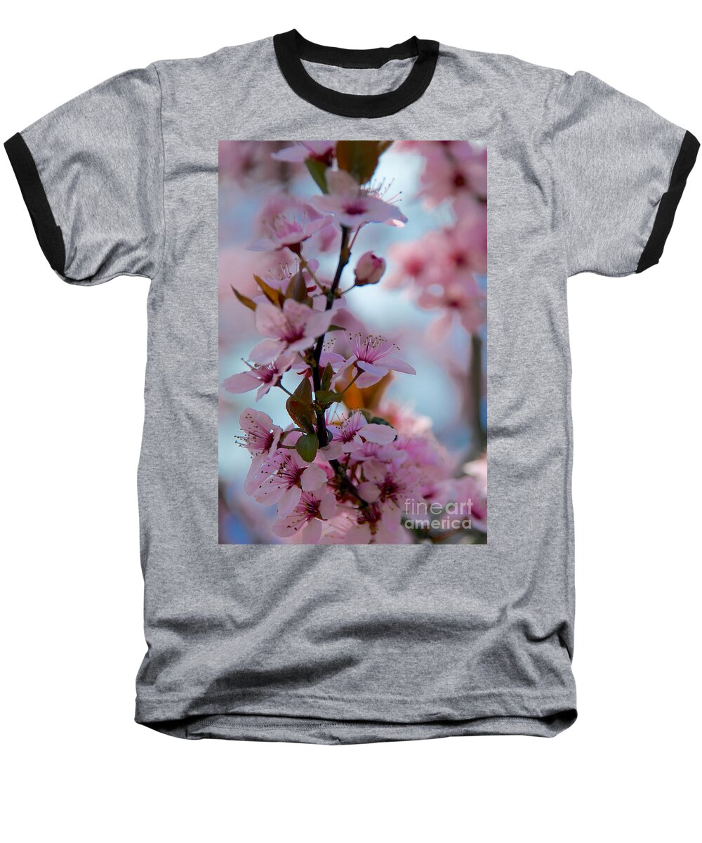 Buds Baseball T-Shirt featuring the photograph Plum Tree Flowers #12 by Mark Dodd