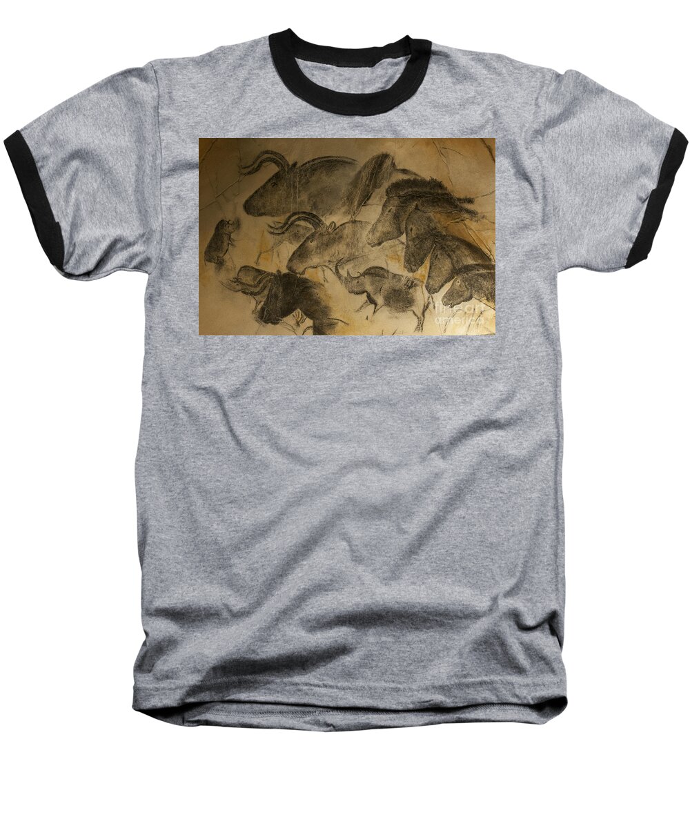 Chauvet Baseball T-Shirt featuring the photograph 131018p051 by Arterra Picture Library