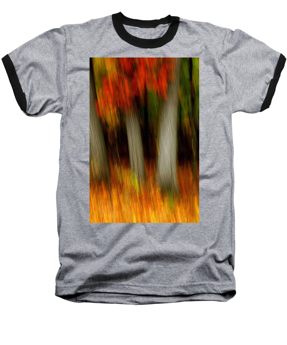 Woods Baseball T-Shirt featuring the photograph Blazing in the Woods #2 by Randy Pollard