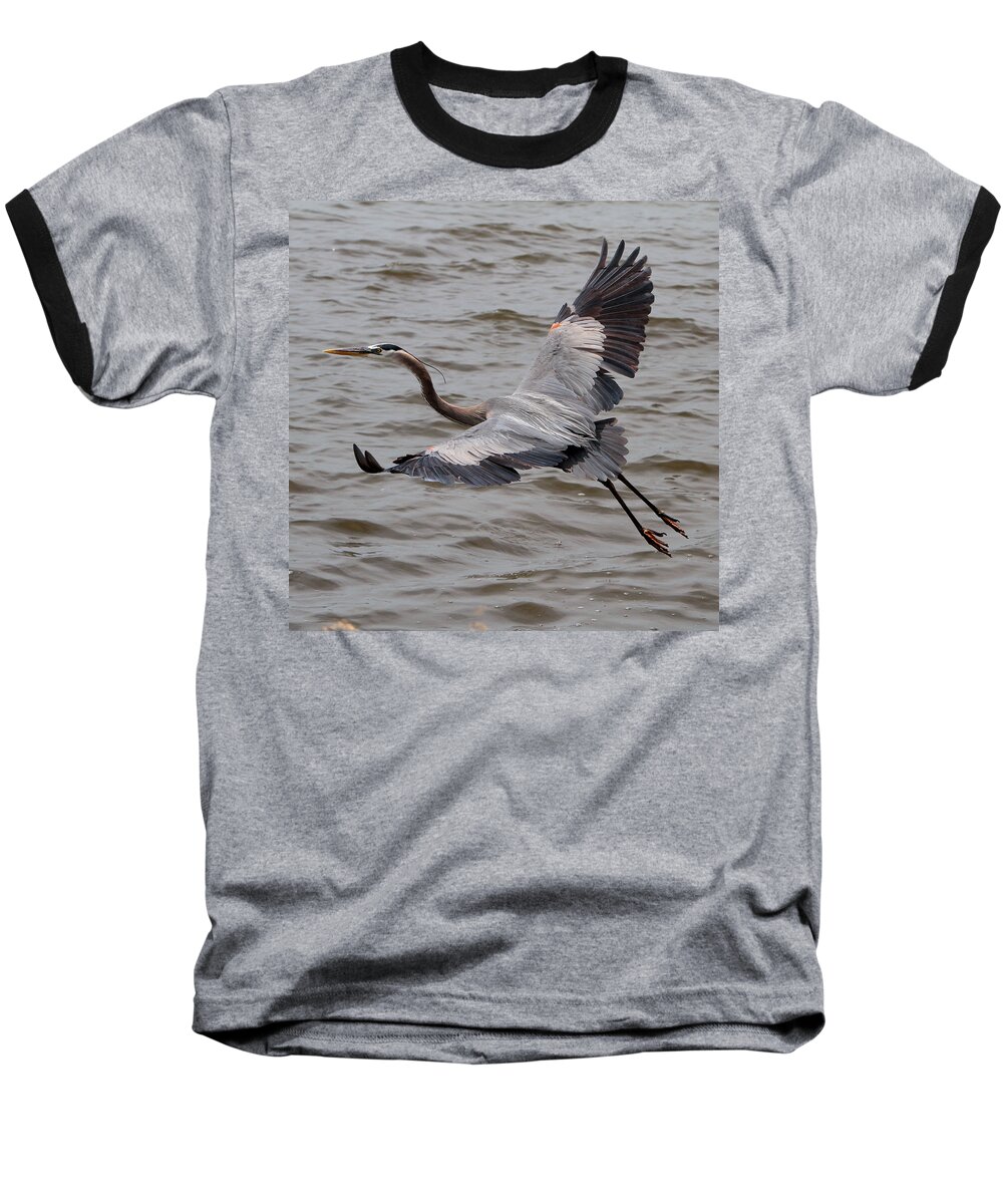 Blue Heron Baseball T-Shirt featuring the photograph Heron in flight. #3 by John Freidenberg