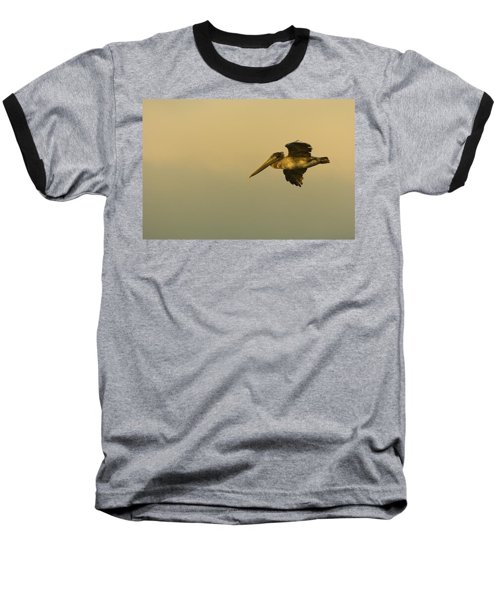 Dusk Baseball T-Shirt featuring the photograph Pelican #2 by Sebastian Musial