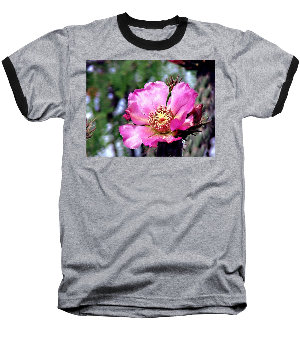 Botanical Baseball T-Shirt featuring the photograph Pink Cactus Flower #2 by Linda Cox