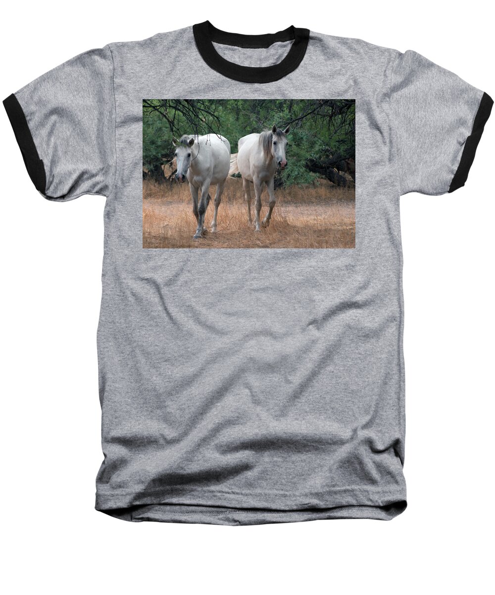 Salt River Wild Horses Baseball T-Shirt featuring the photograph Salt River Wild Horse #2 by Tam Ryan