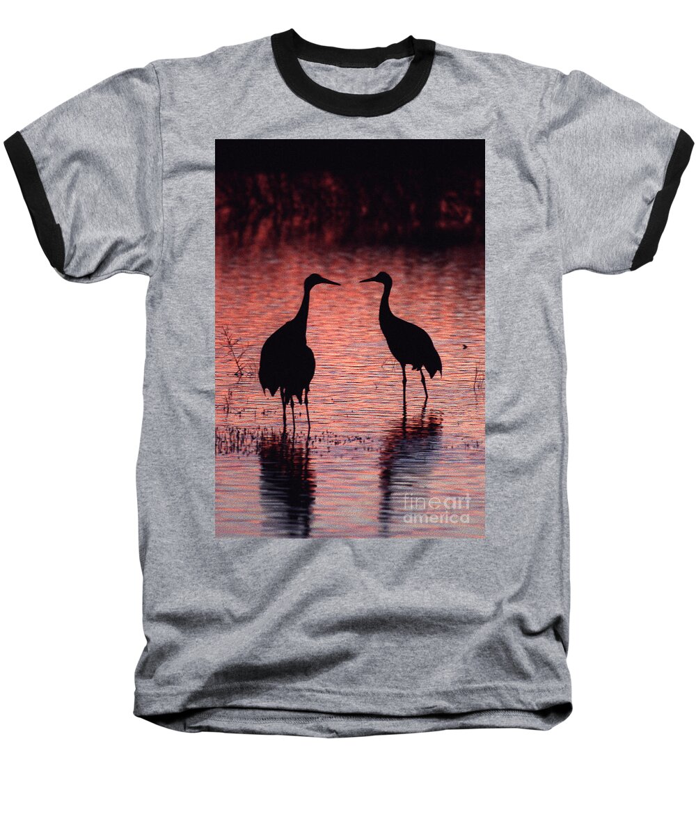 Birds Baseball T-Shirt featuring the photograph Sandhill cranes by Steven Ralser