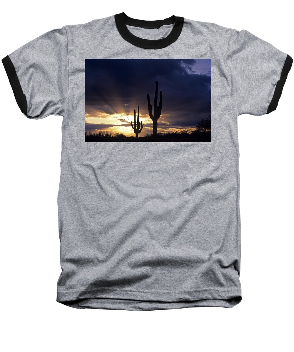 American Southwest Baseball T-Shirt featuring the photograph Silhouetted saguaro cactus sunset at dusk Arizona State USA #2 by Jim Corwin