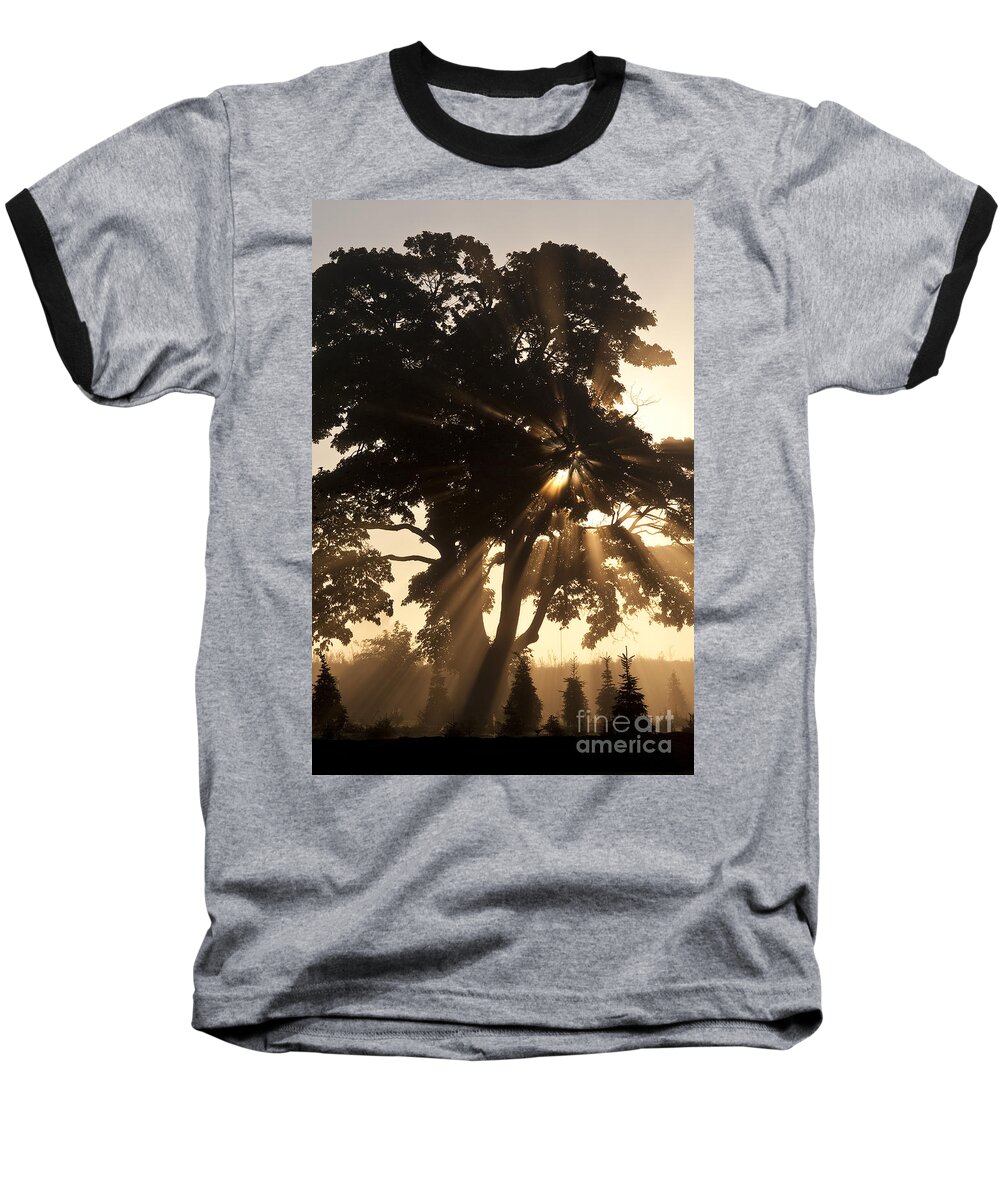 Beautiful Baseball T-Shirt featuring the photograph Silhouetted tree with sun rays #2 by Jim Corwin