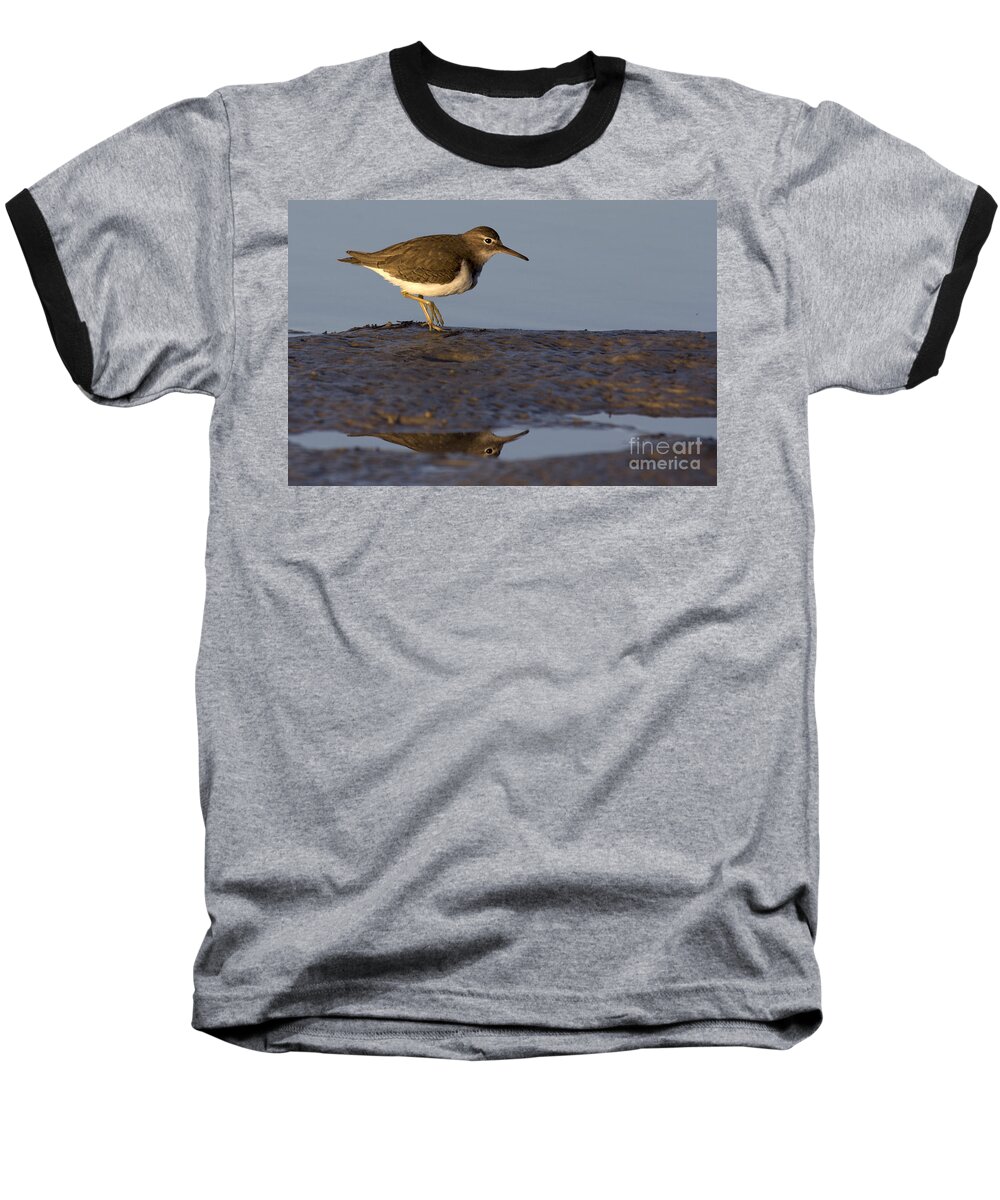 Spotted Sandpiper Baseball T-Shirt featuring the photograph Spotted Sandpiper Reflection #2 by Meg Rousher