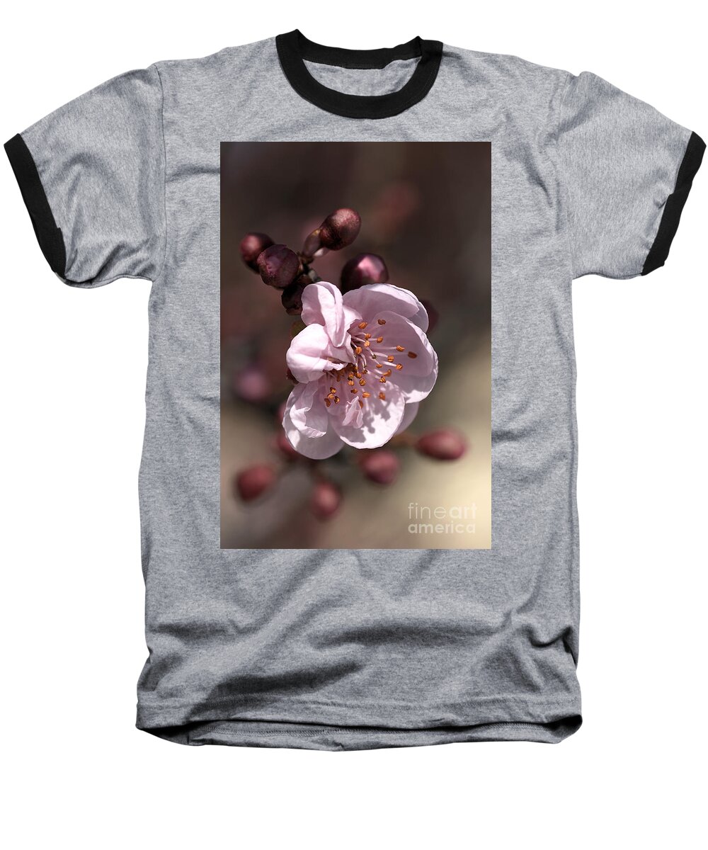 Spring Blossom Baseball T-Shirt featuring the photograph Spring Blossom by Joy Watson
