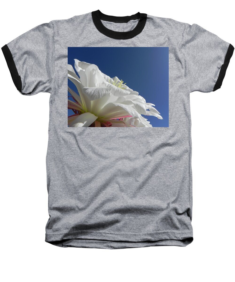 Flower Baseball T-Shirt featuring the photograph Striking Contrast #2 by Deb Halloran