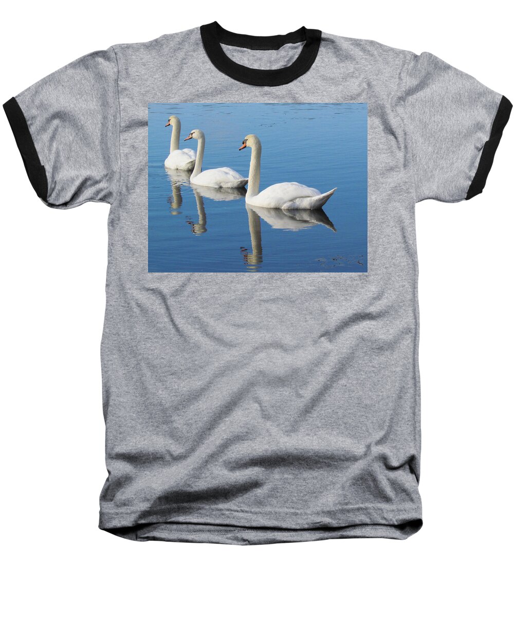 Swans Baseball T-Shirt featuring the photograph 3 Swans A-Swimming by Lori Lafargue