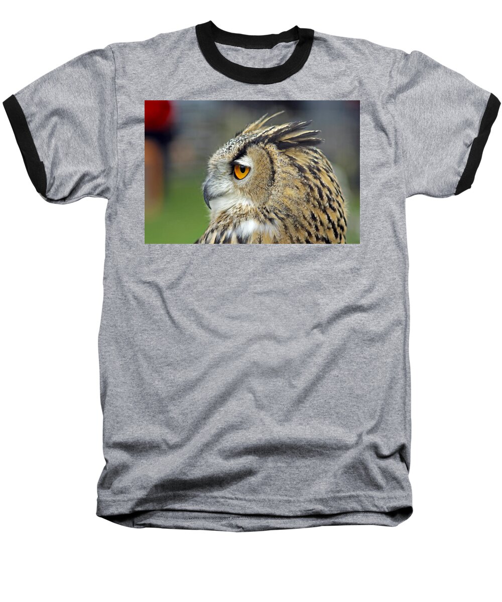 Eurasian Eagle Owl Baseball T-Shirt featuring the photograph European Eagle Owl #5 by Tony Murtagh